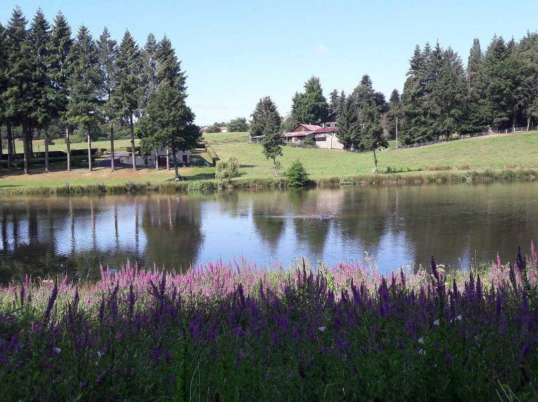 Lac de Mas-Chaban景点图片