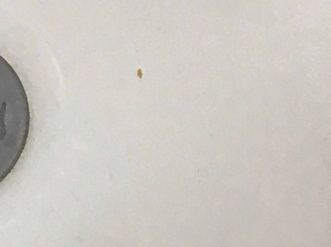 Days Inn By Wyndham Blytheville主图