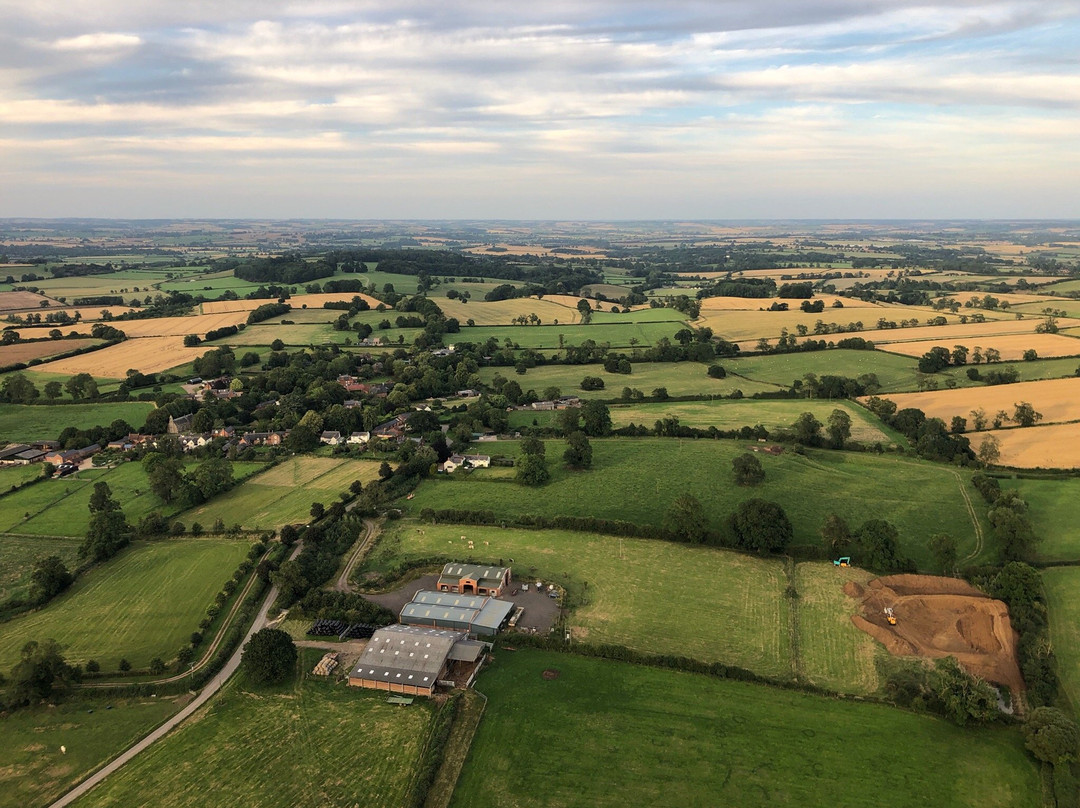 Virgin Balloon Flights - Coventry, Coombe Country Park景点图片
