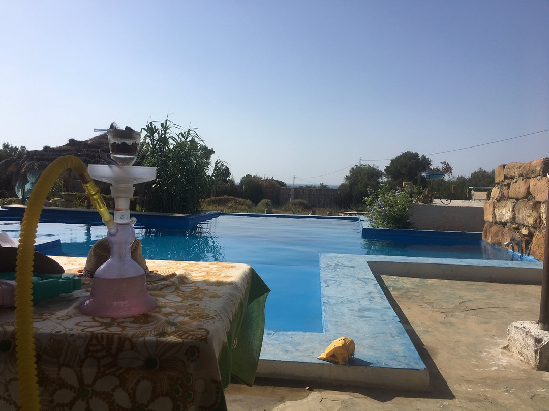 Zembretta Farm-Zembrettita主图