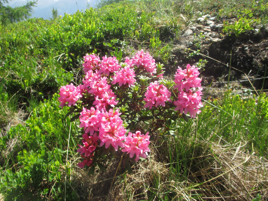 Thurntaler-Sillian必去景点