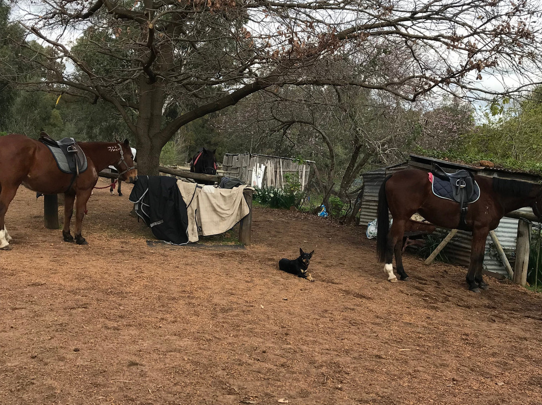 Langford Hill Riding Farm景点图片
