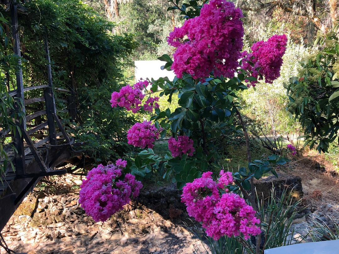 Vichy Springs Resort主图