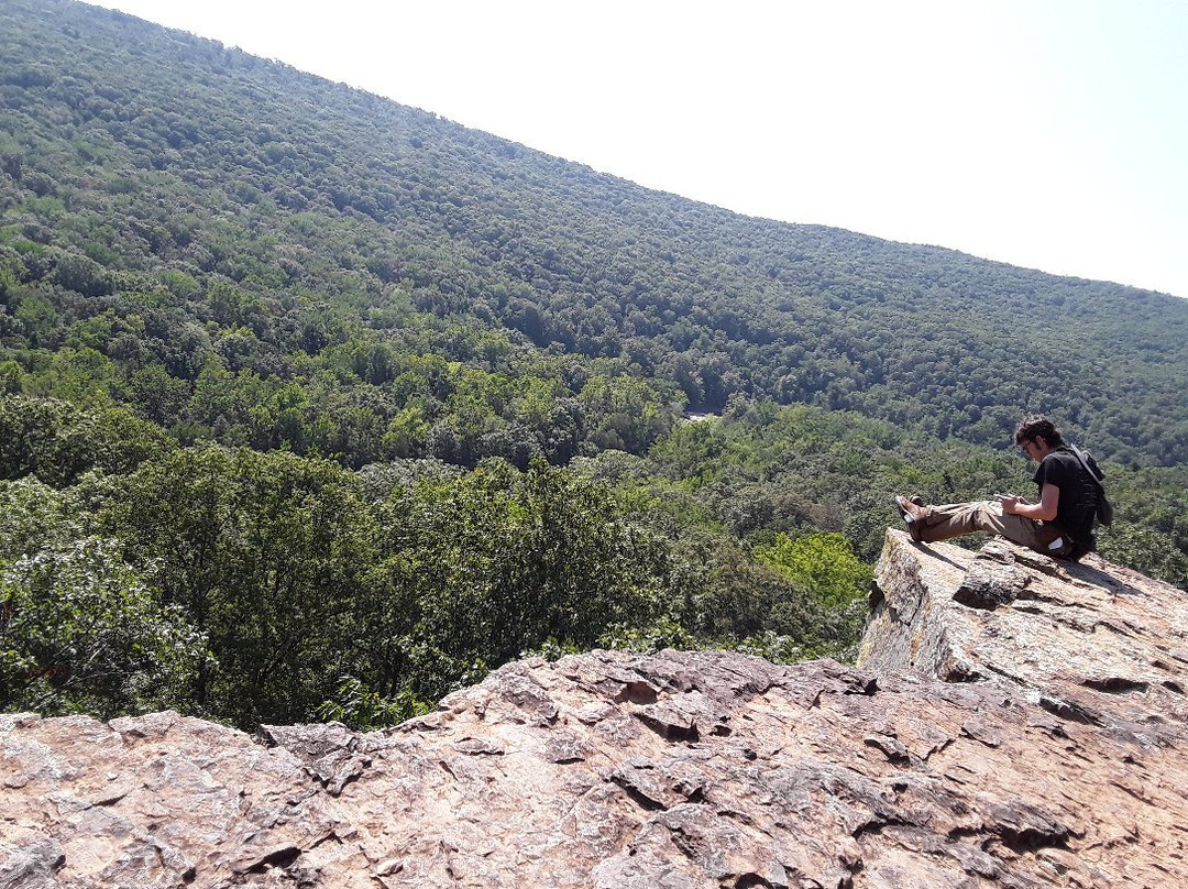 Devil's Den State Park景点图片