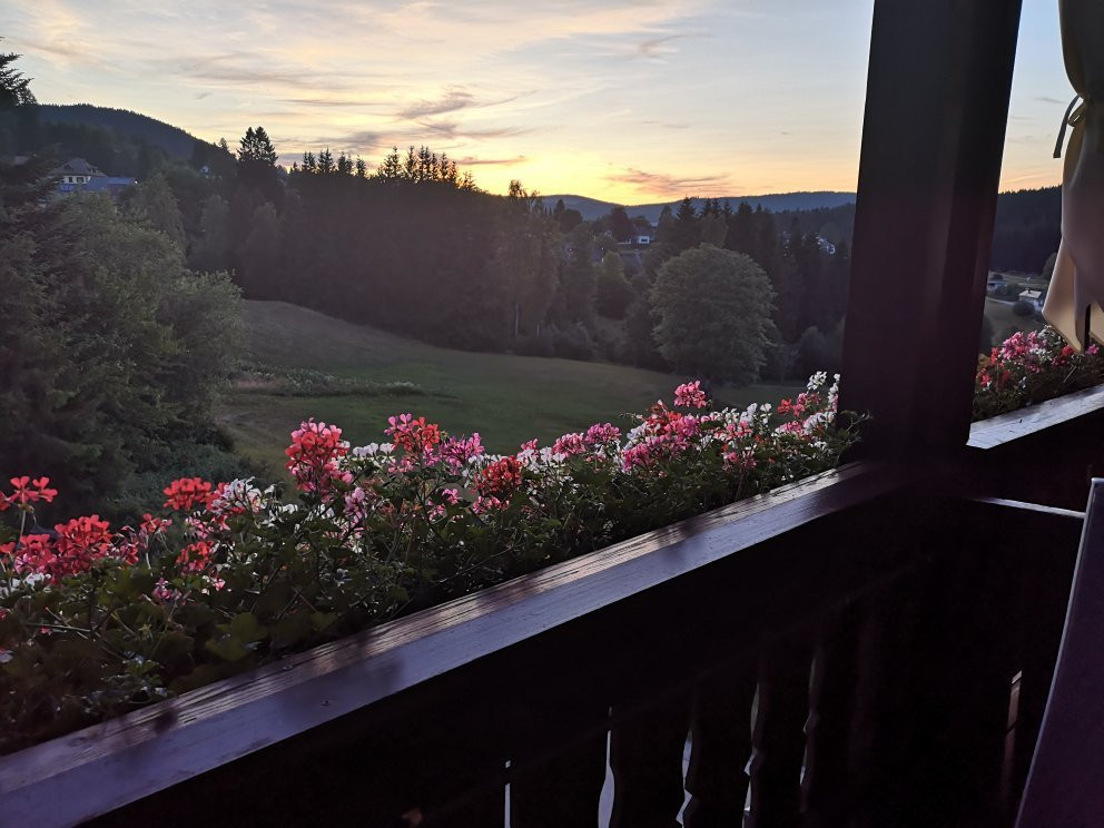 瓦尔德克酒店主图