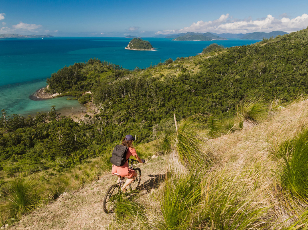 Whitsunday Water Taxi Transfers-舒特港必去景点
