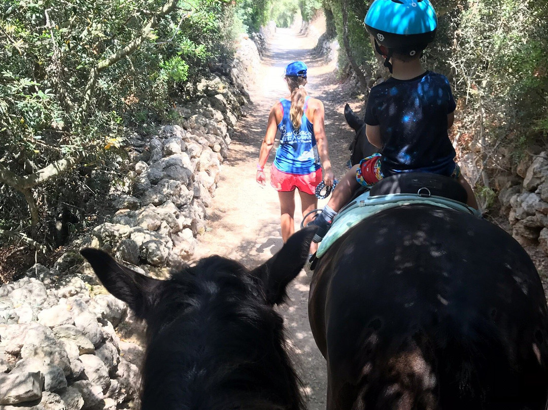 Son Bou Rutas A Caballo-阿拉约尔必去景点