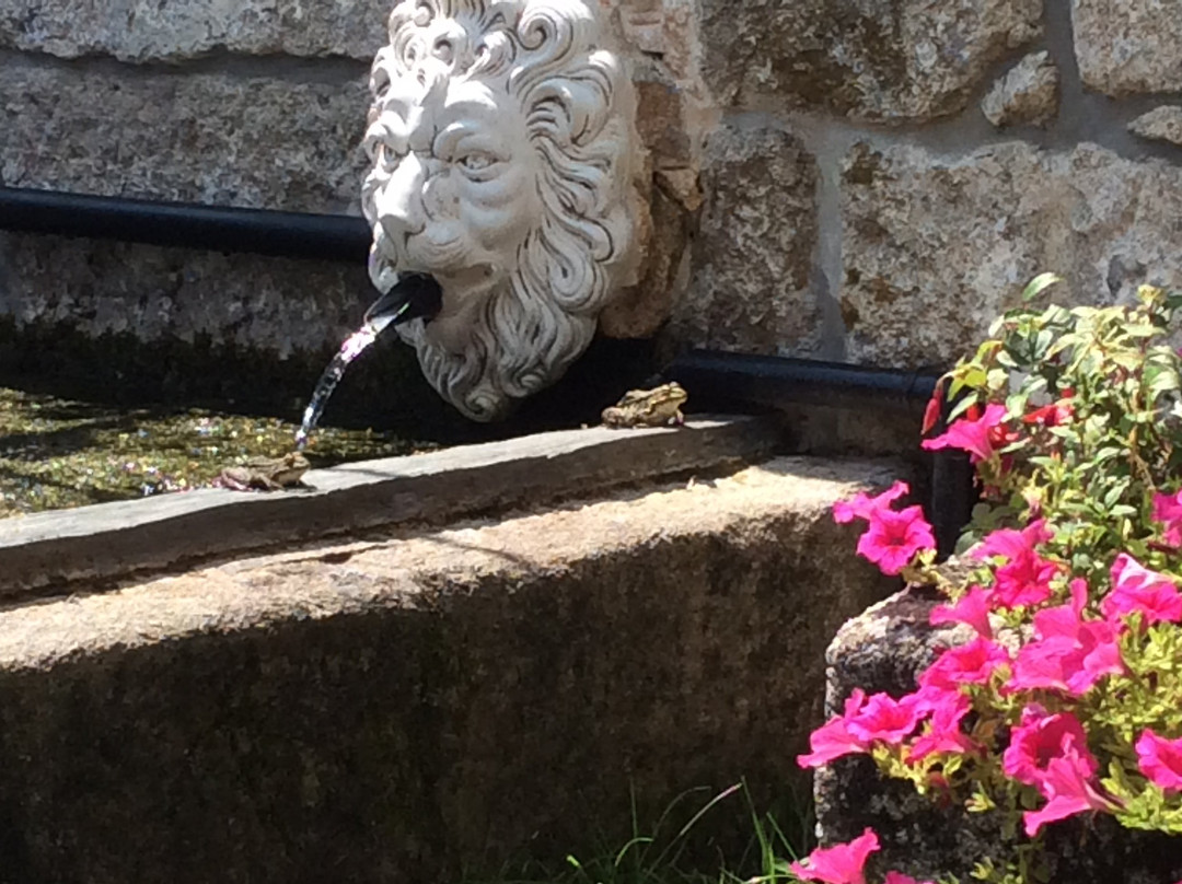 Ancede旅游攻略图片