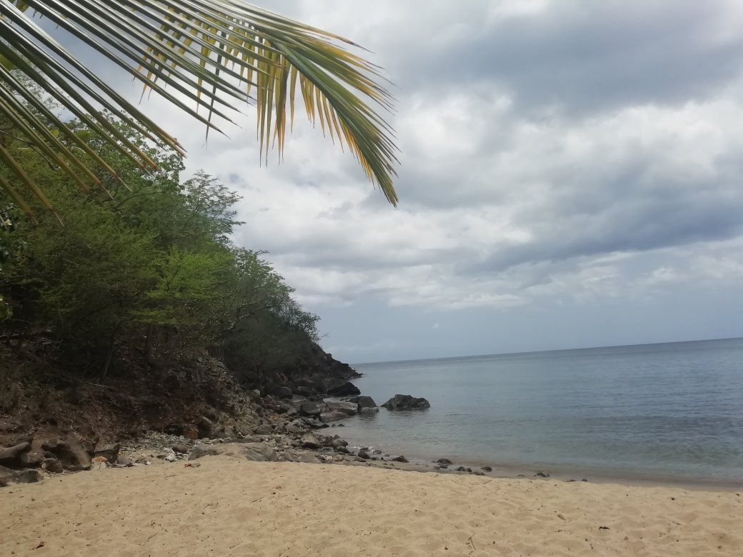 Plage de Petite Anse-Bouillante必去景点