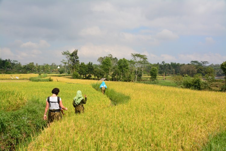 Mas-Mas Tourism Village-Mas-mas必去景点
