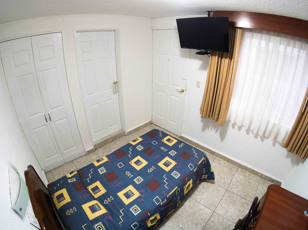 Hotel Qualitel Plus主图