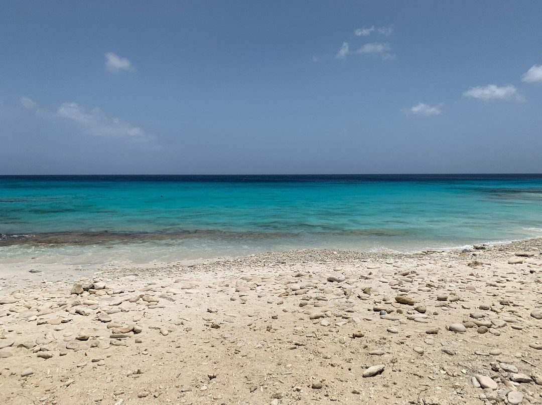 Boca Slagbaai-Washington-Slagbaai National Park必去景点