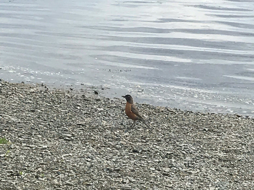 Flin Flon Wildlife Sanctuary-Flin Flon必去景点