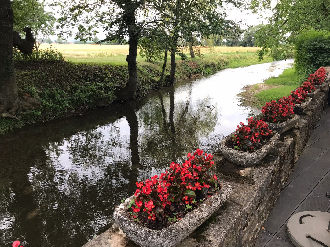 Le Moulin Du Coq主图