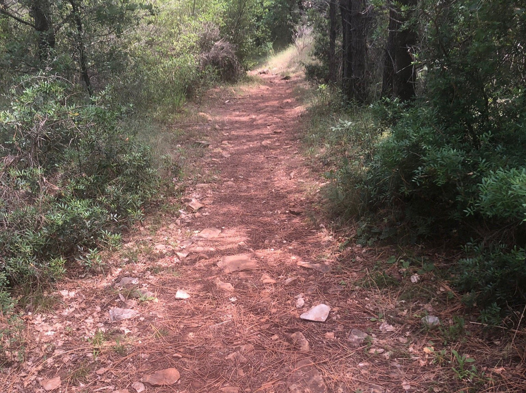 Footpath Cavtat - Radovčići景点图片