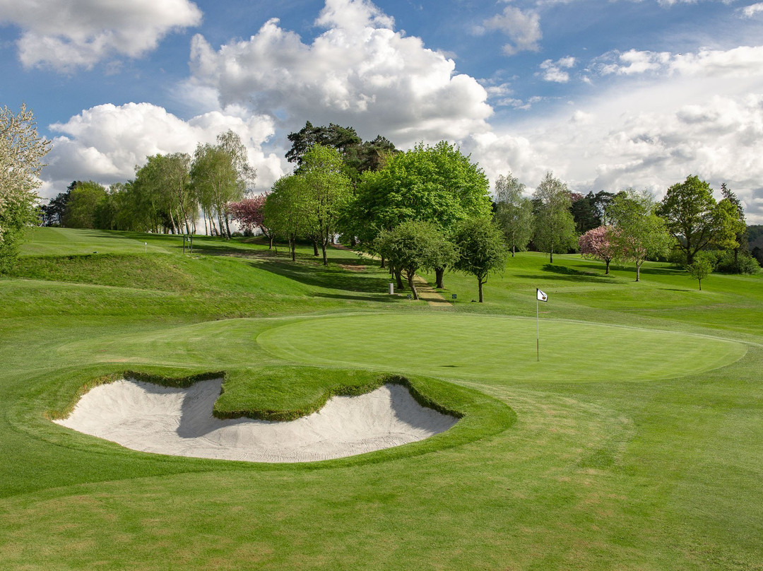 Harewood Downs Golf Club景点图片