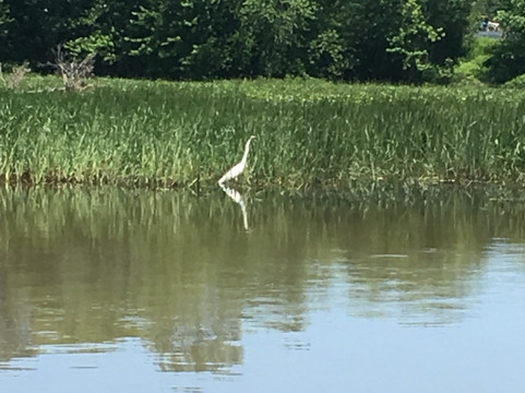 3rd Alarm Charters & Guide Service-Pittsford必去景点