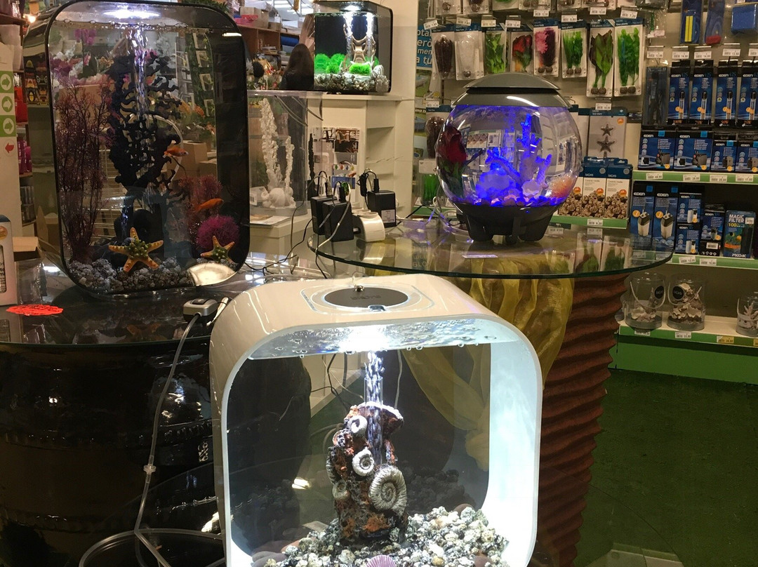 Nardo' garden-纳尔德奥必去景点