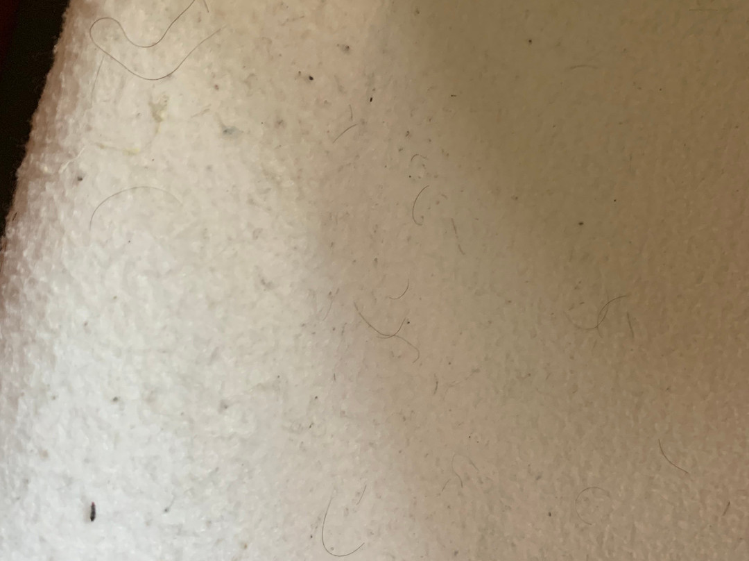 Plantation Motel主图