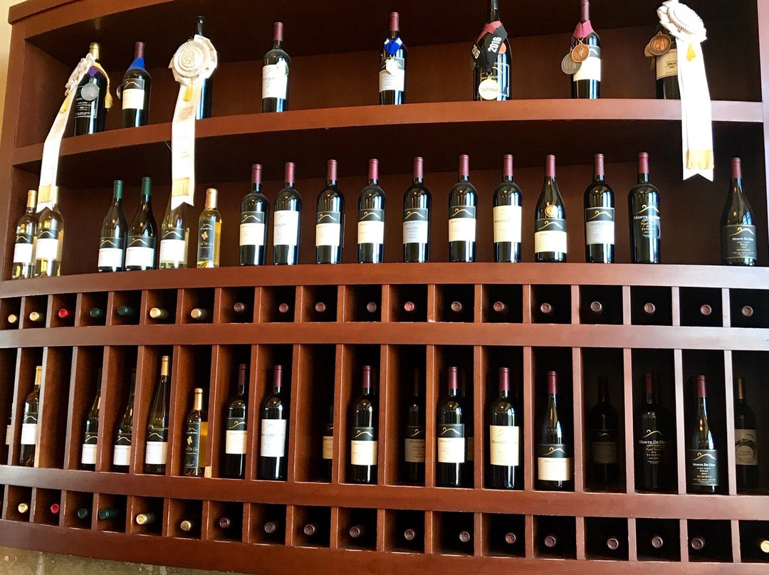 Monte De Oro Winery-特曼库拉必去景点