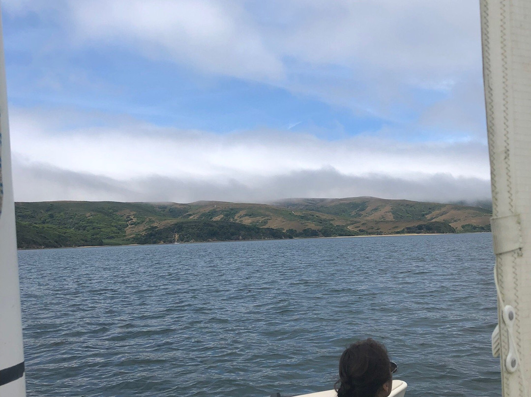 Tomales Bay Sailing景点图片