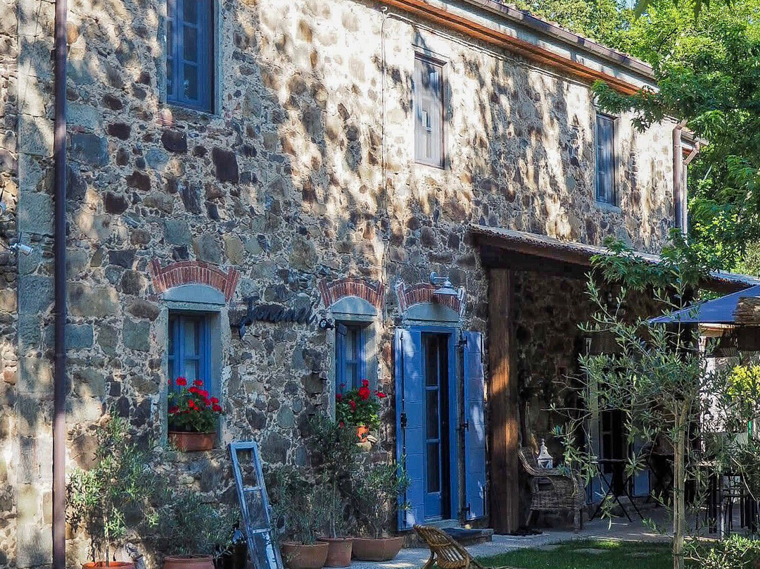 Agriturismo Tananei - Extra Virgin Olive Oil experience-Marliana必去景点