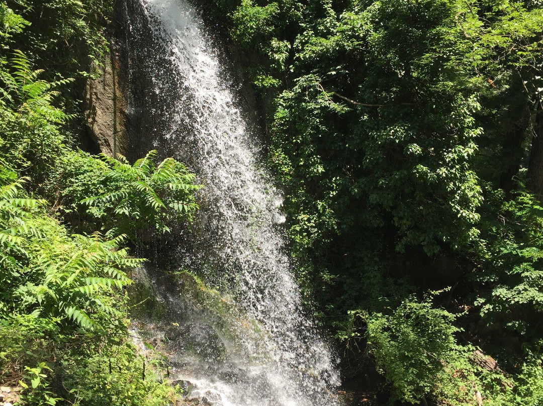 Gaul Canyon景点图片