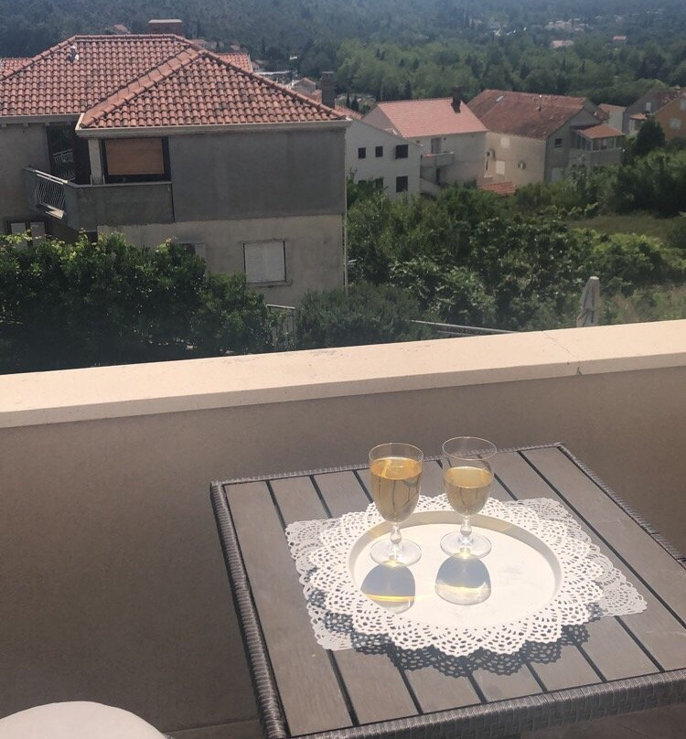 Zupa Dubrovacka Guest House主图