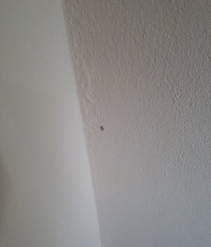 Hotel Águalinda主图