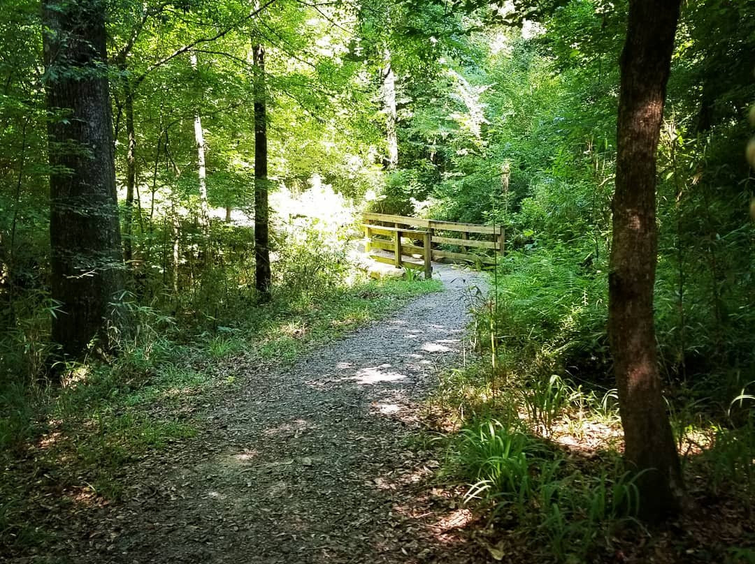 Port Hudson State Historic Site景点图片