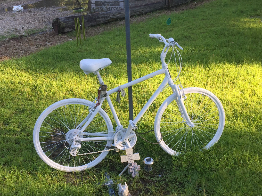 Tammany Trace-Abita Springs必去景点