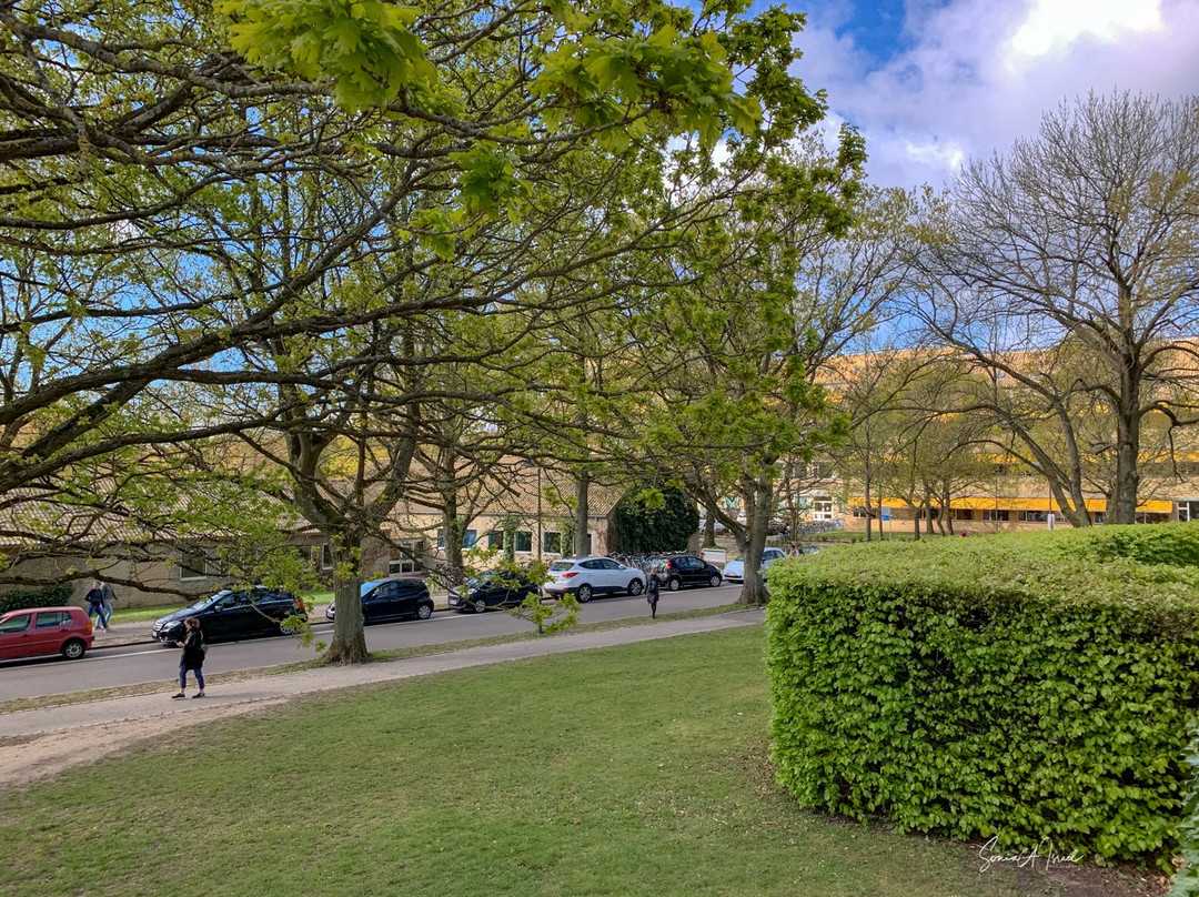 Aarhus Universitet-欧胡斯必去景点