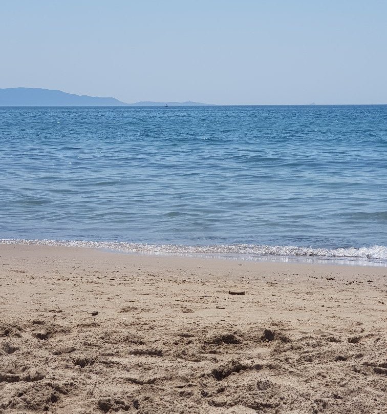 Mortelliccio Spiaggia Libera per Cani景点图片