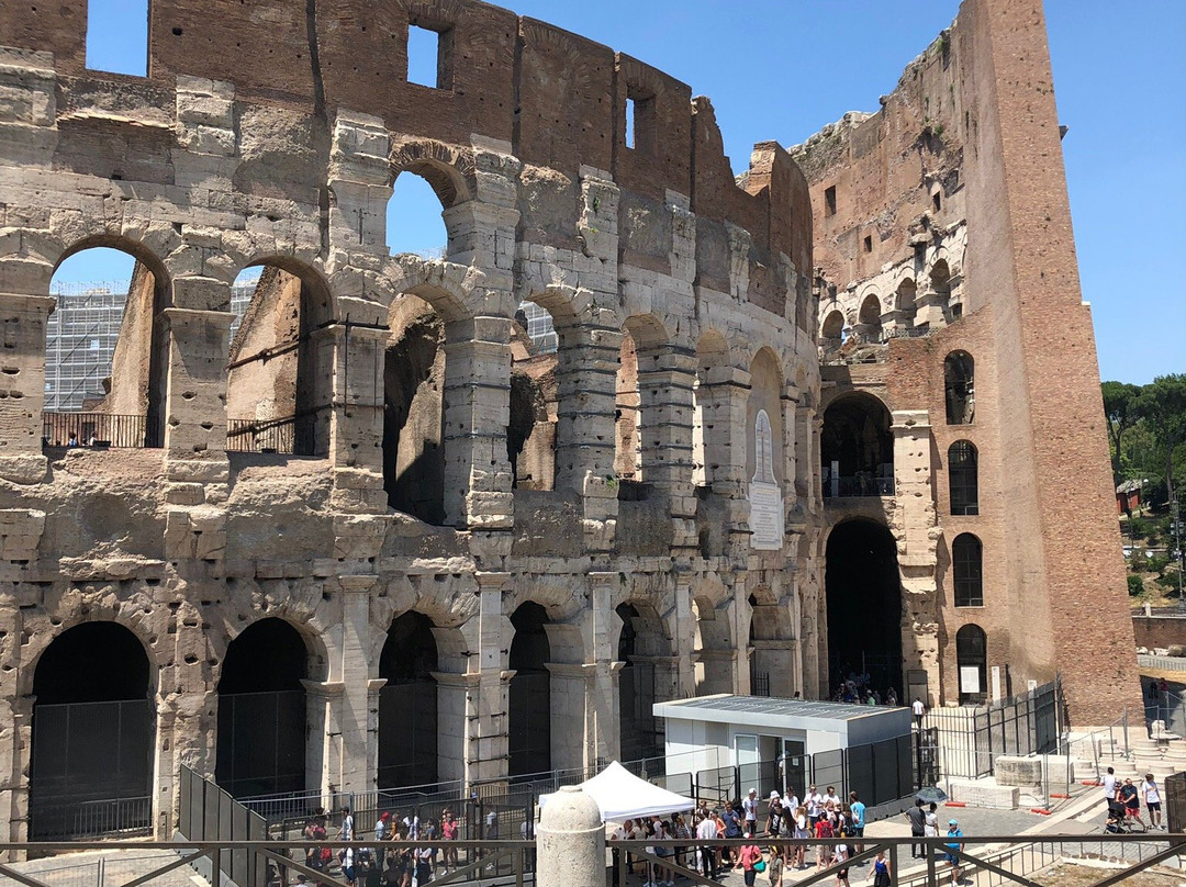 Colosseum and Vatican Tours by Italy Wonders景点图片
