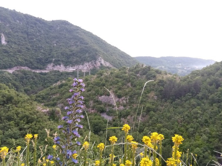 Stari Grad (Old Town)-Uzice必去景点