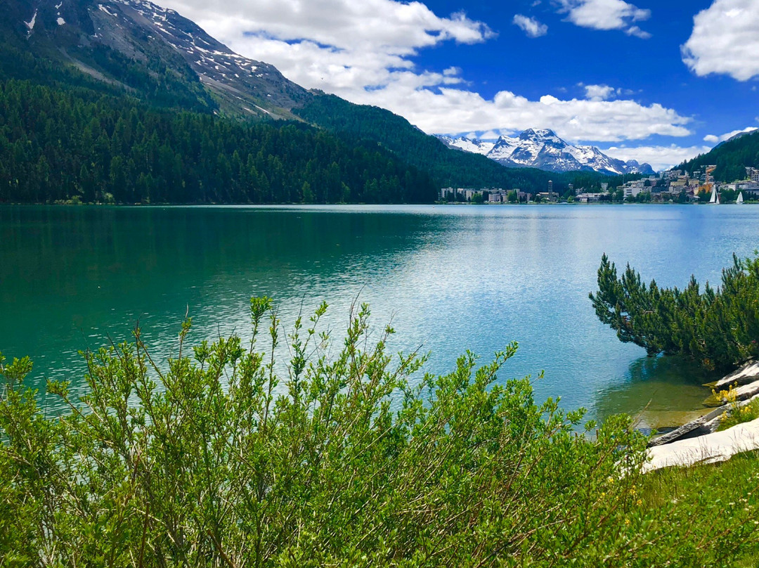 Lake St. Moritz景点图片