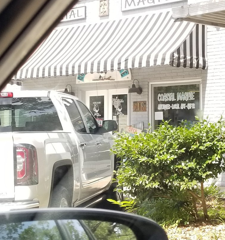 Coastal Magpie-Ocean Springs必去景点