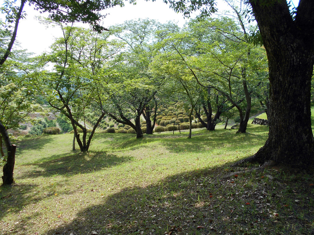 Tabaruzaka Park景点图片