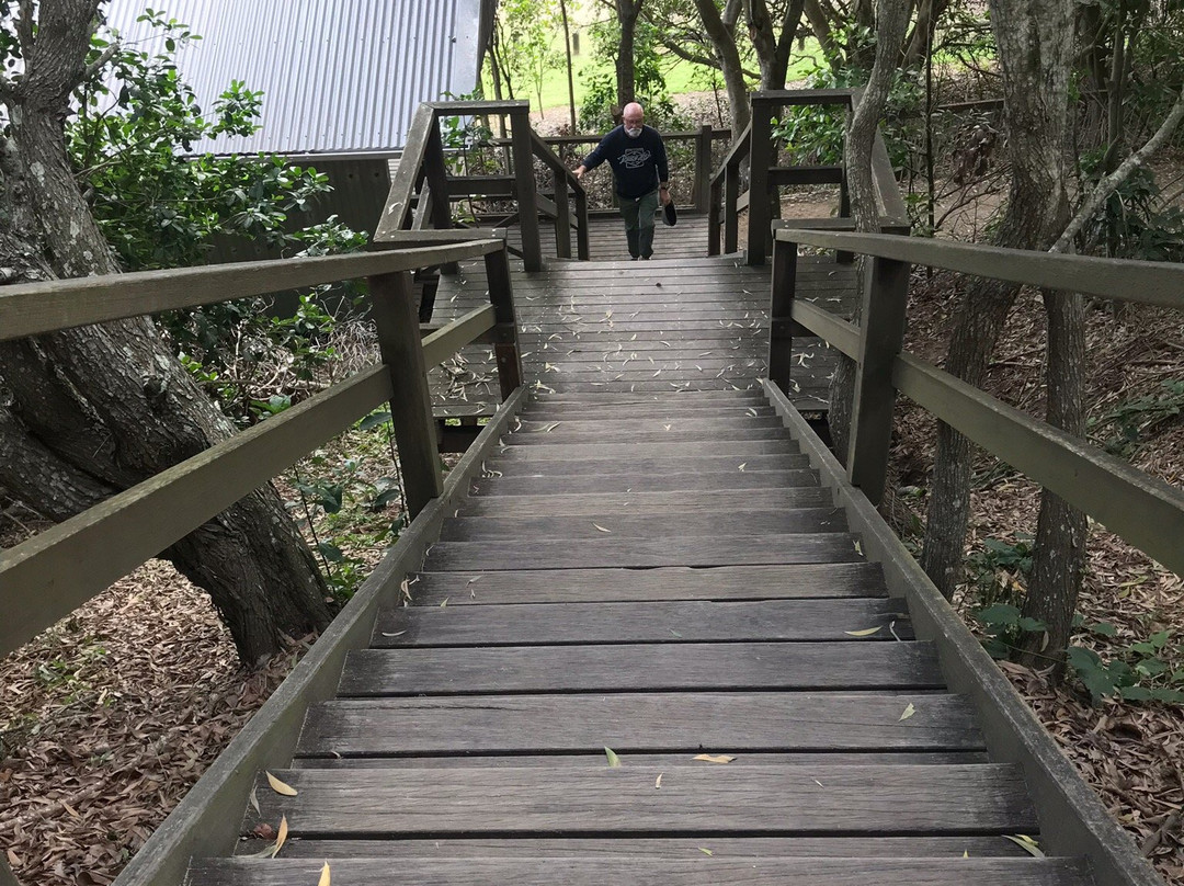 Iluka Rainforest Walking Track景点图片