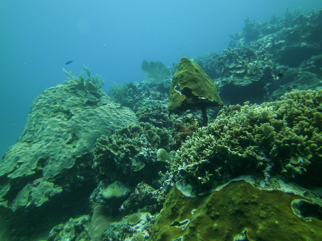 Las Galeras Divers-Las Galeras必去景点