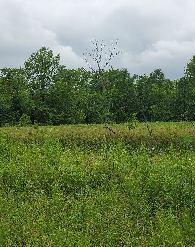 Deer Haven Preserve-Delaware必去景点