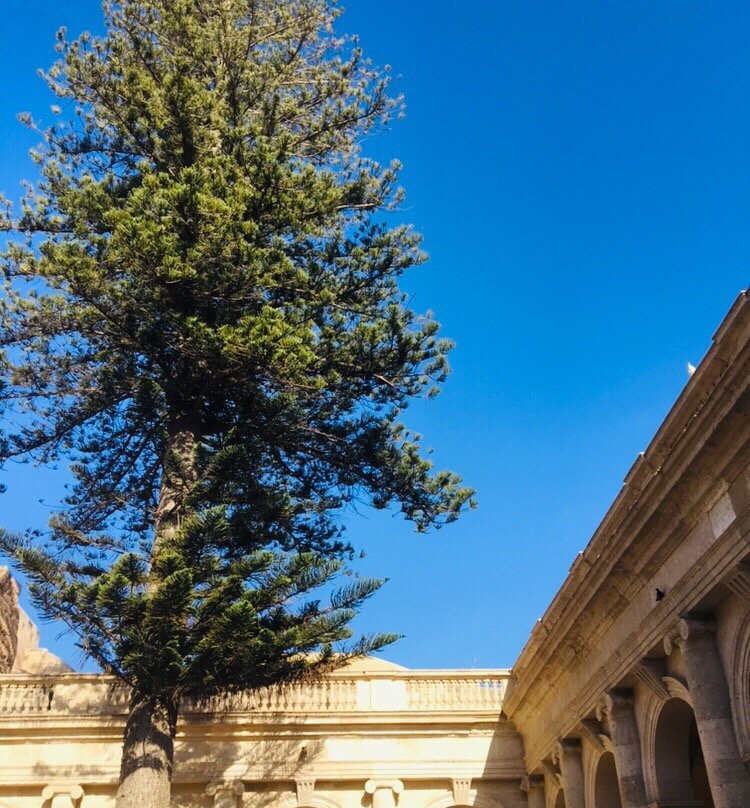 Catedral de Almeria景点图片