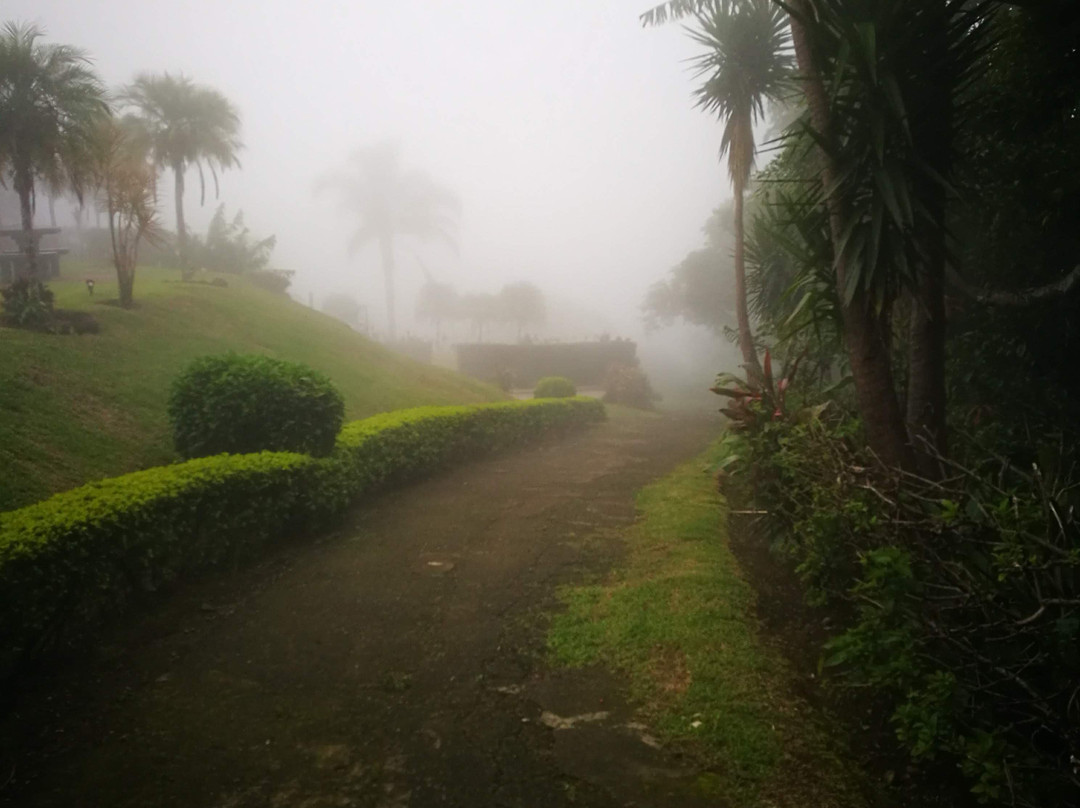 Hotel Mango Valley主图