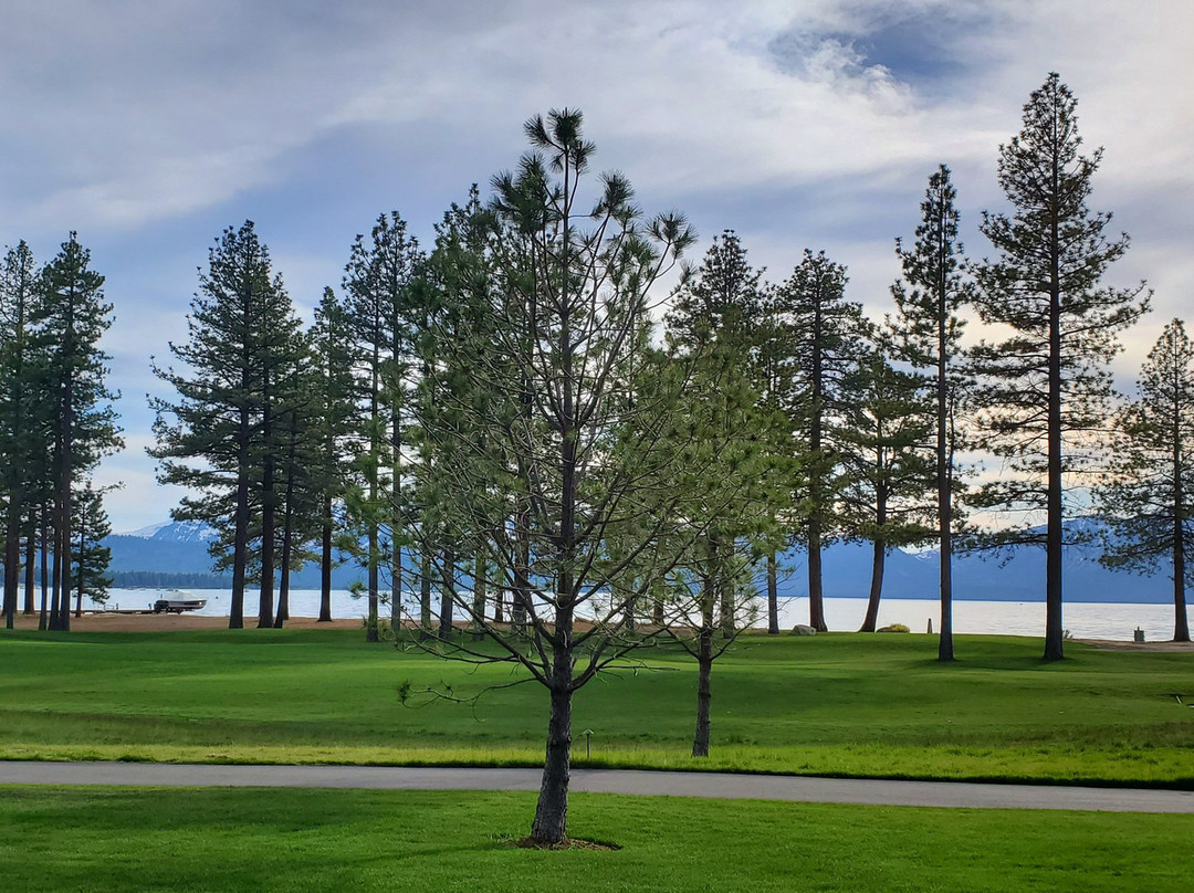 Edgewood Tahoe Resort主图