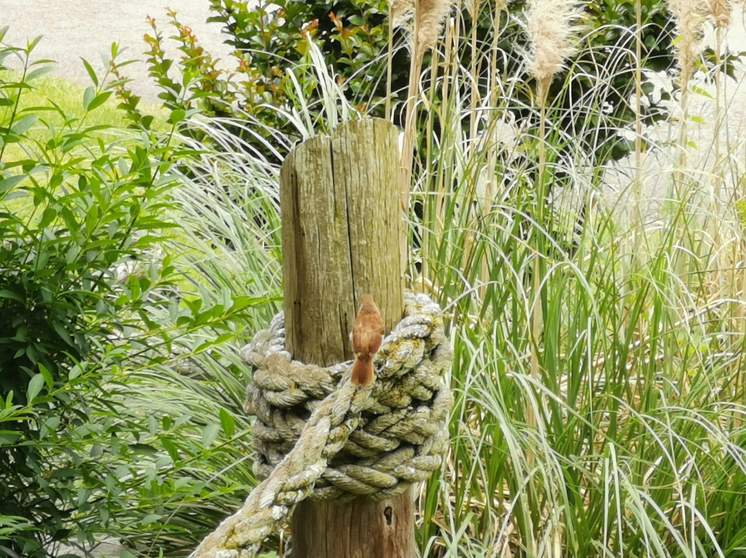 Lake Ouachita Shores Resort主图