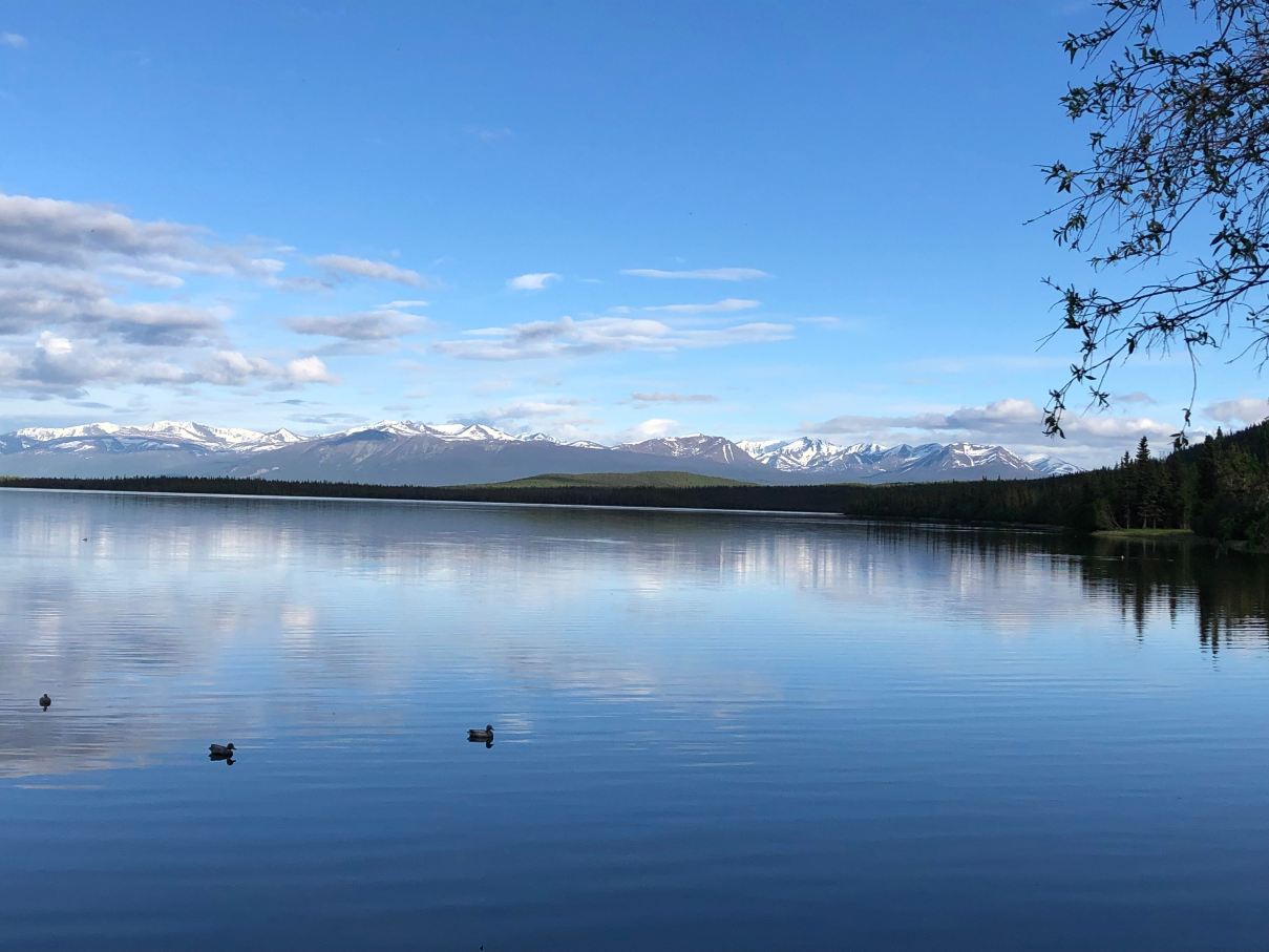 Willow Lake B&B-酒店景观