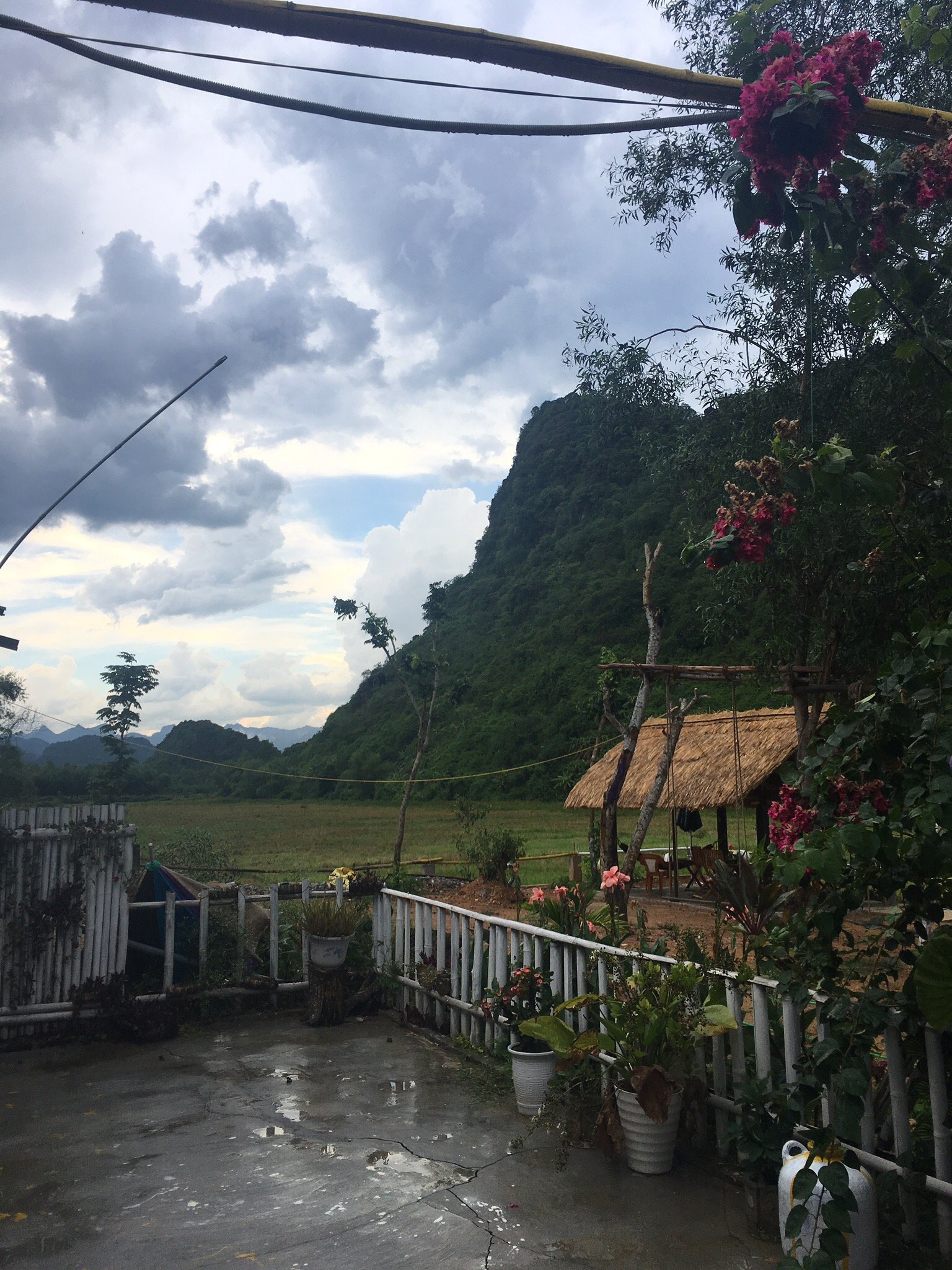 Phong Nha Rice Field Homestay-官方