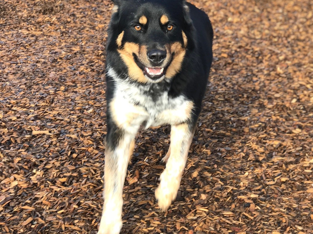 Waterfront Trail-Pickering必去景点