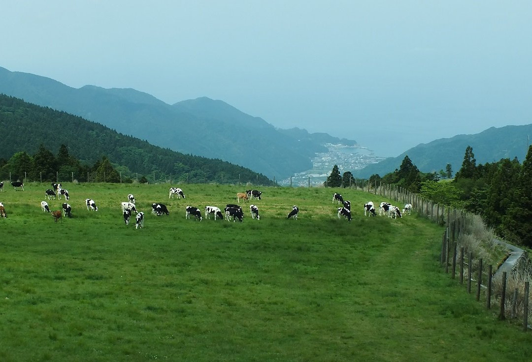 Nishiamagi Highlands景点图片