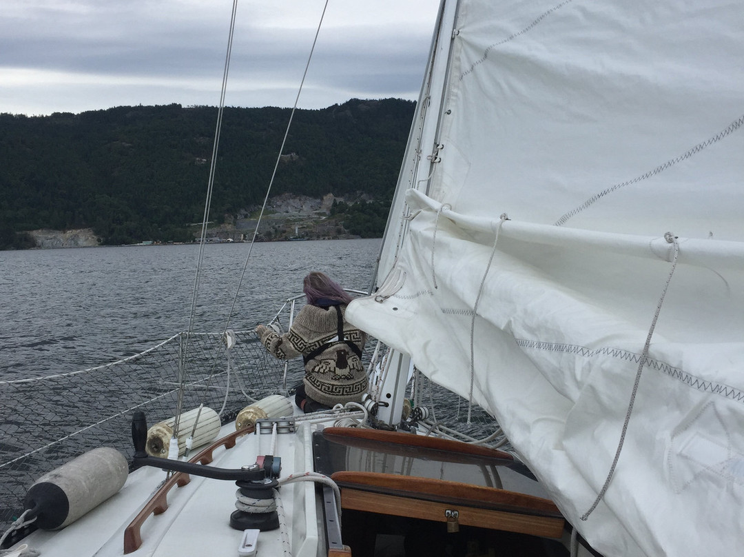 Sailing the Saanich Inlet景点图片